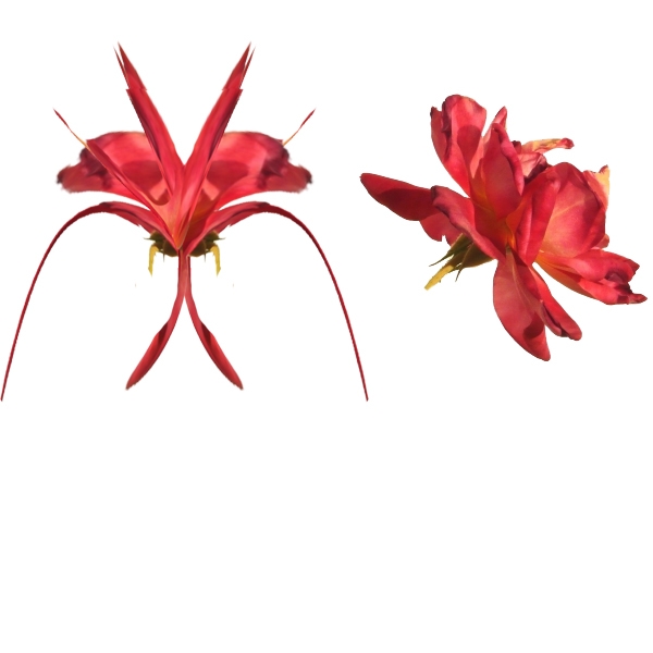Creation of flower art expo: Step 1